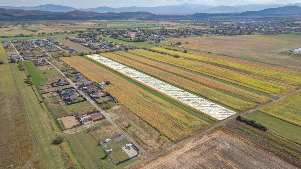 Investitie cu potential - 480 mp teren intravilan in Bod, Br
