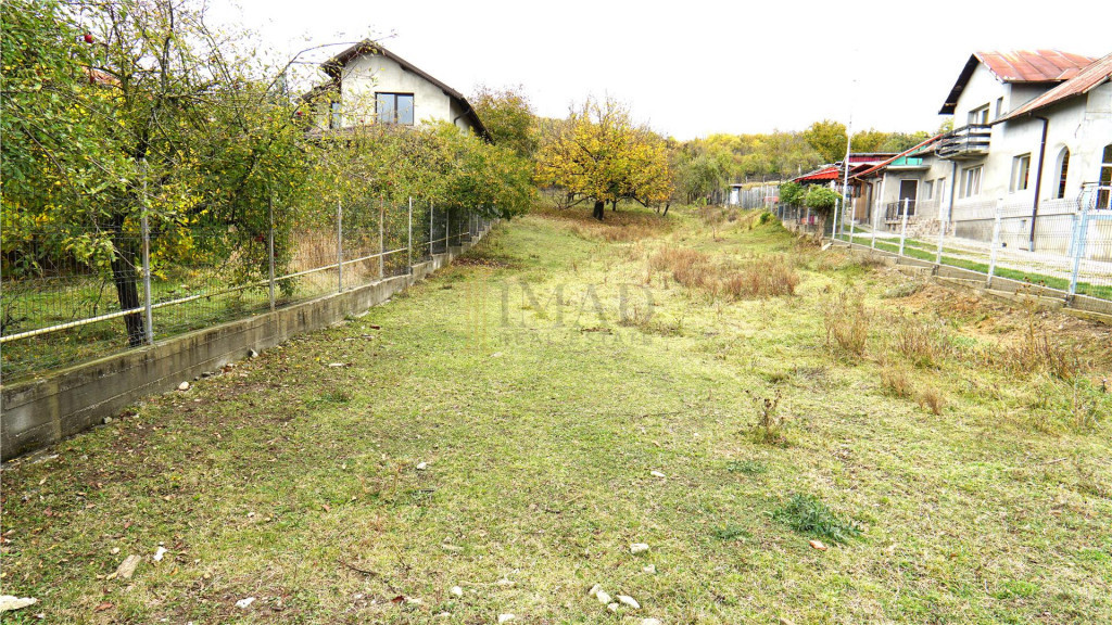 9.000 MP DE LINI#536;TE, NATUR#258; #536;I OPORTUNITATE – AN