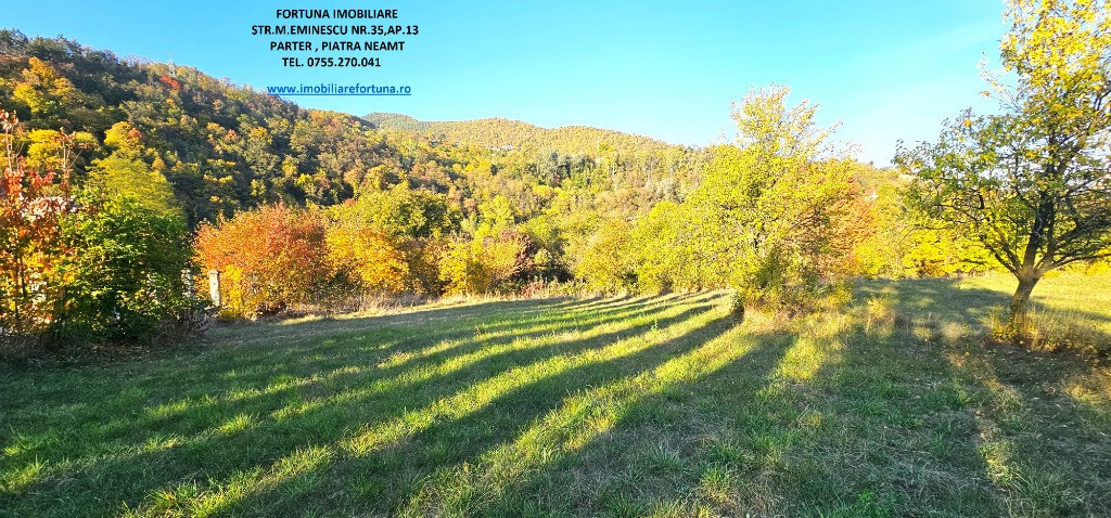 Proprietate cu 6329 mp teren intravilan, Casa P+1 si anexe,Al.cel Bun
