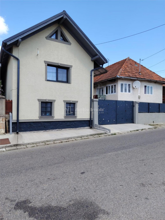 Service auto - spatiu comercial Hunedoara