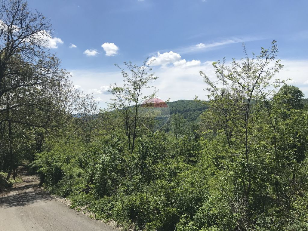 Vanzare Teren INTRAVILAN Padure 2,511mp BREBU MANASTIREI PRAHOVA