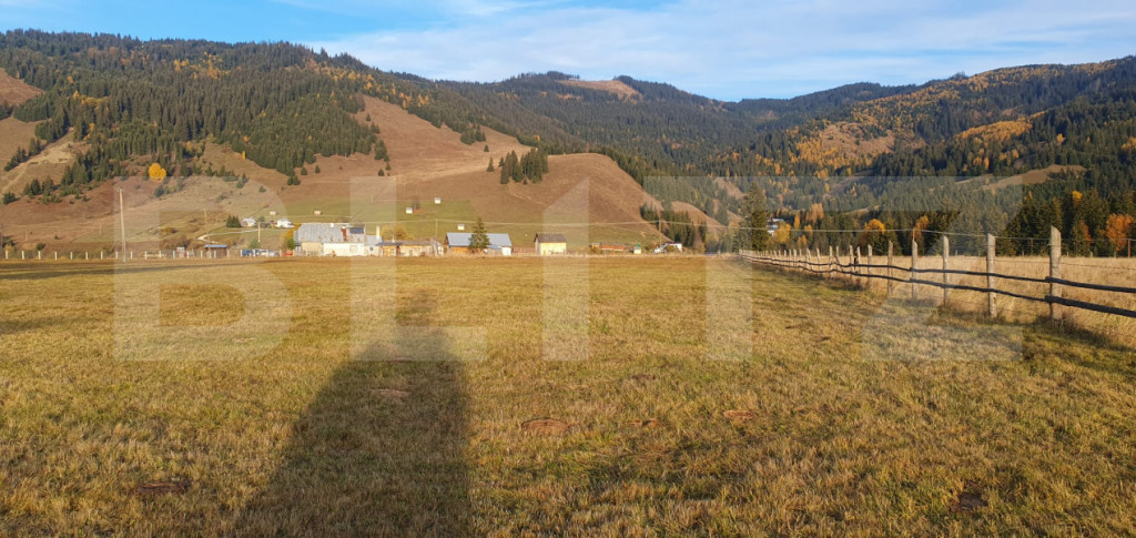Teren extravilan, 9031 mp, zona Panaci - Vatra Dornei