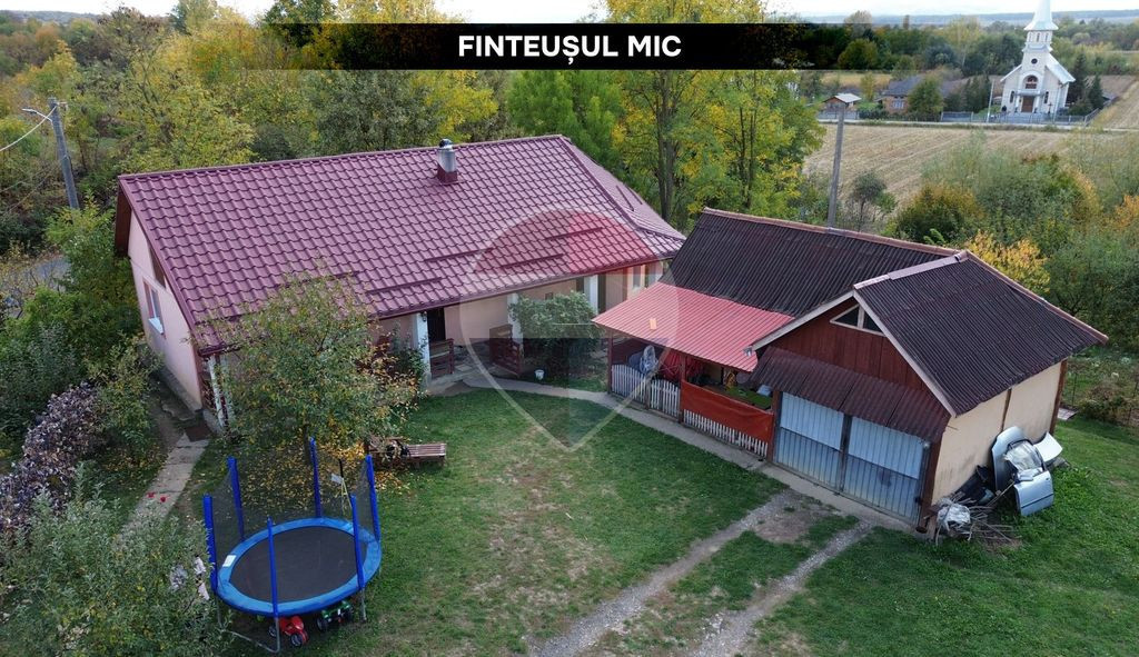 GOSPODARIE de vanzare- Finteusul Mic