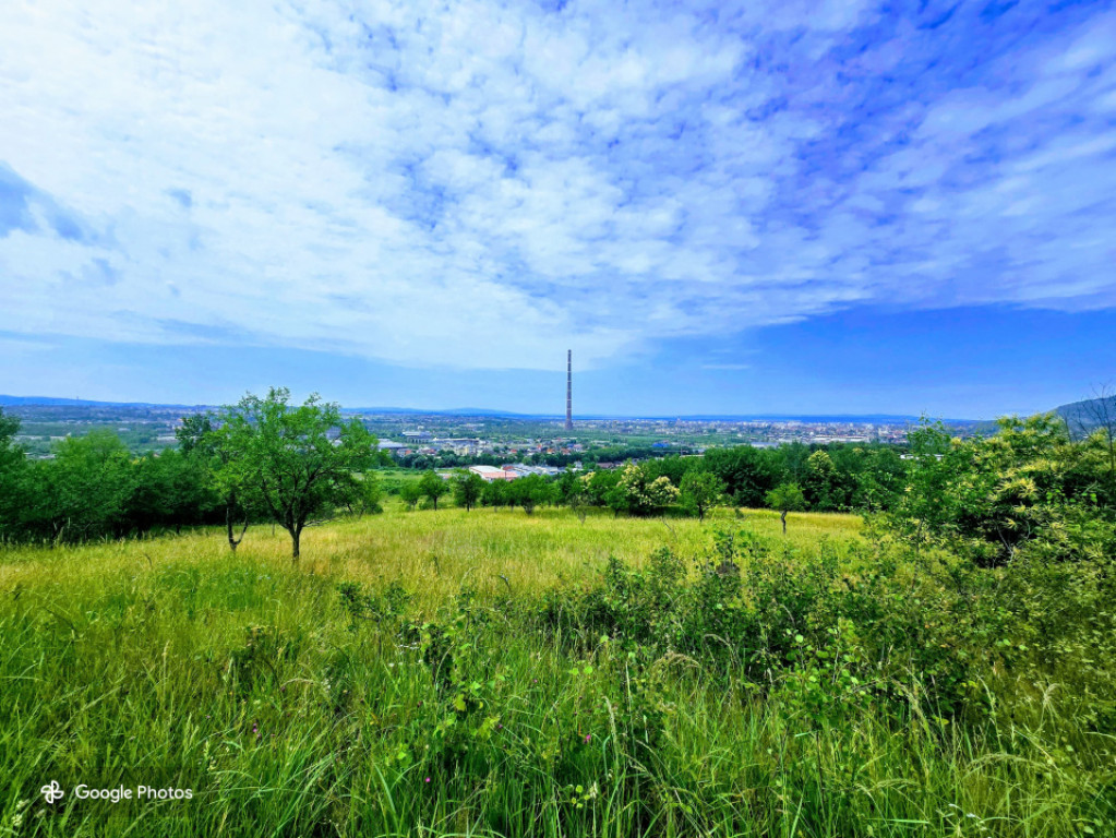 Teren de vanzare, 15.000 mp (1,5 ha), zona Tautii de Sus