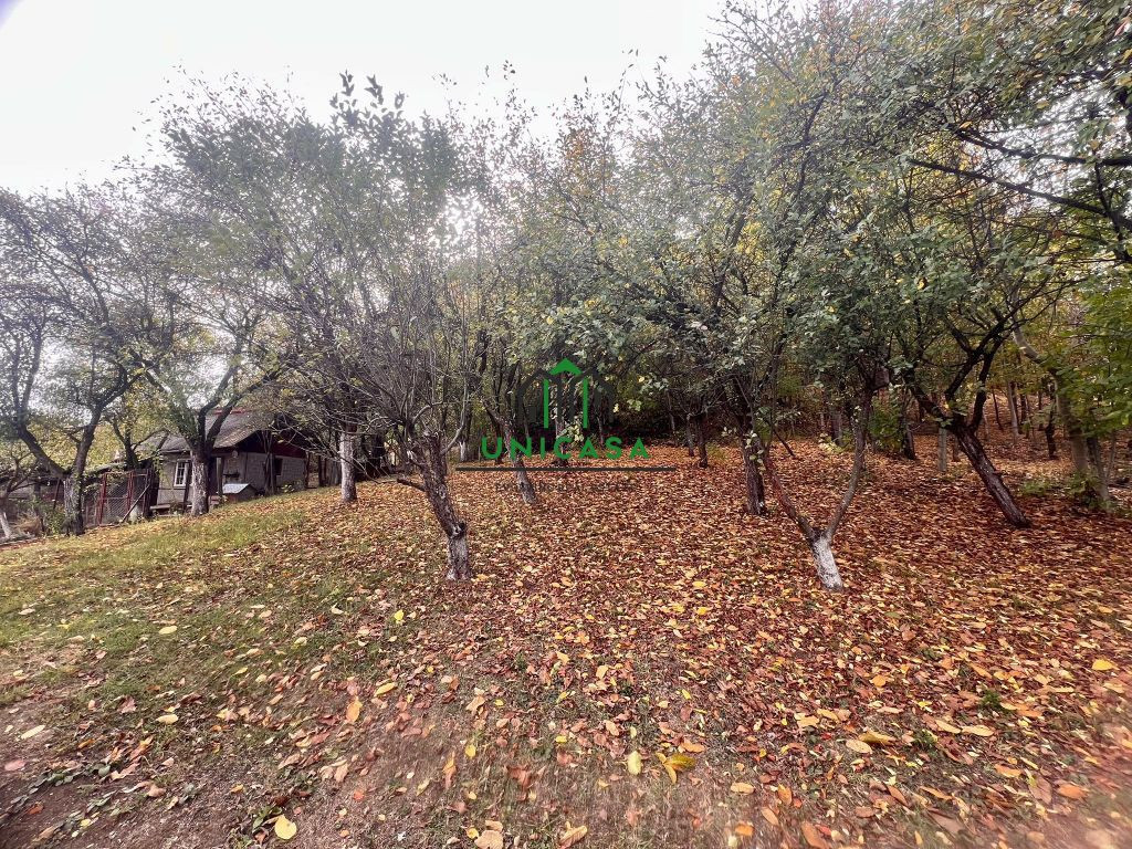 Teren intravilan de vânzare – 4.257 mp – Strada Argintari
