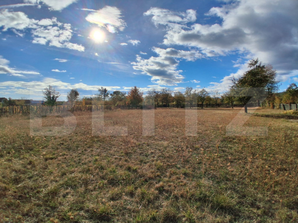 Teren extravilan, 2423 mp, zona Est - Baia de Fier