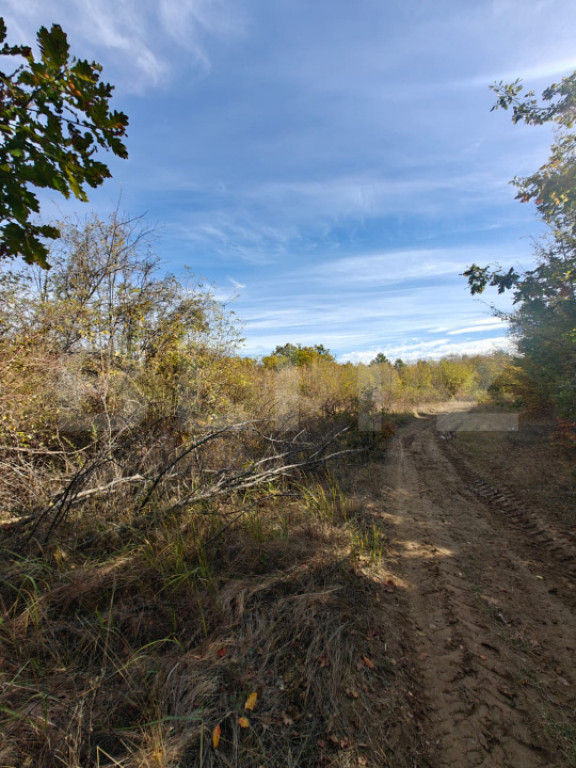 Teren intravilan 5.000 mp | Deschidere 60 m | Potential inve
