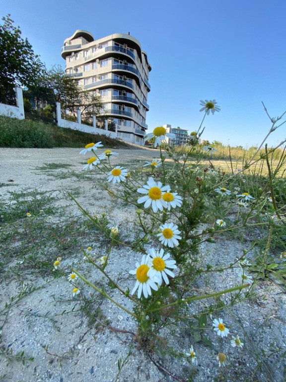 Apartament 2 camere decomandate Mamaia Sat vedere superba la mare