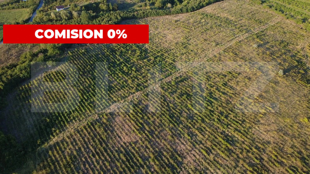 Teren de vânzare – 56.200 mp, cu priveliște superbă spr