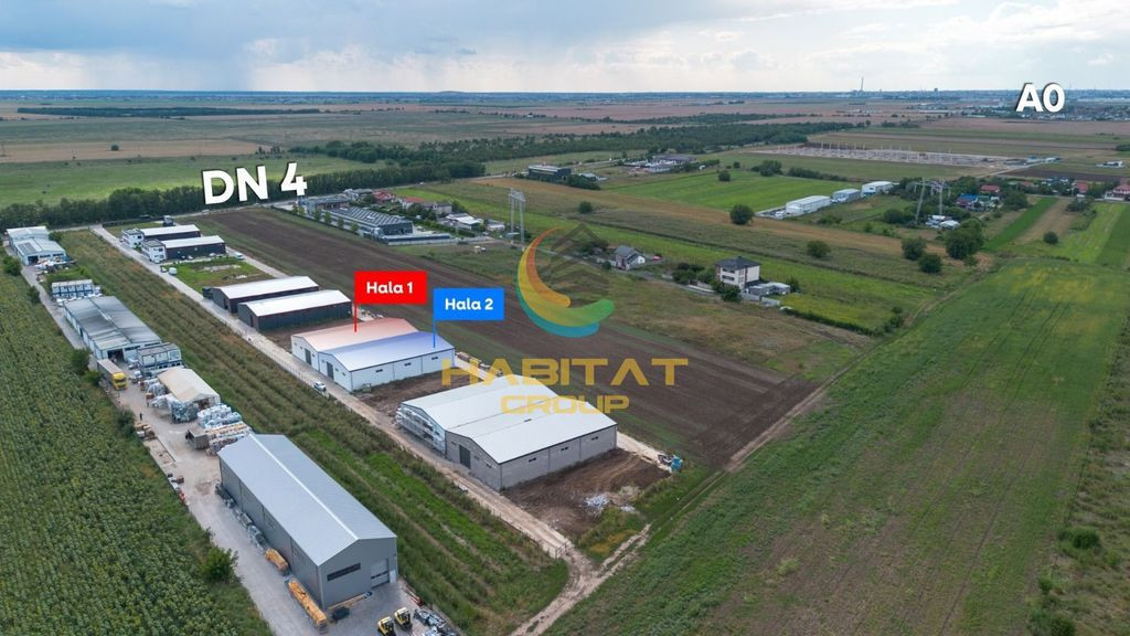 Hale 550 mp în Frumușani | Vânzare sau închiriere | 2 unități