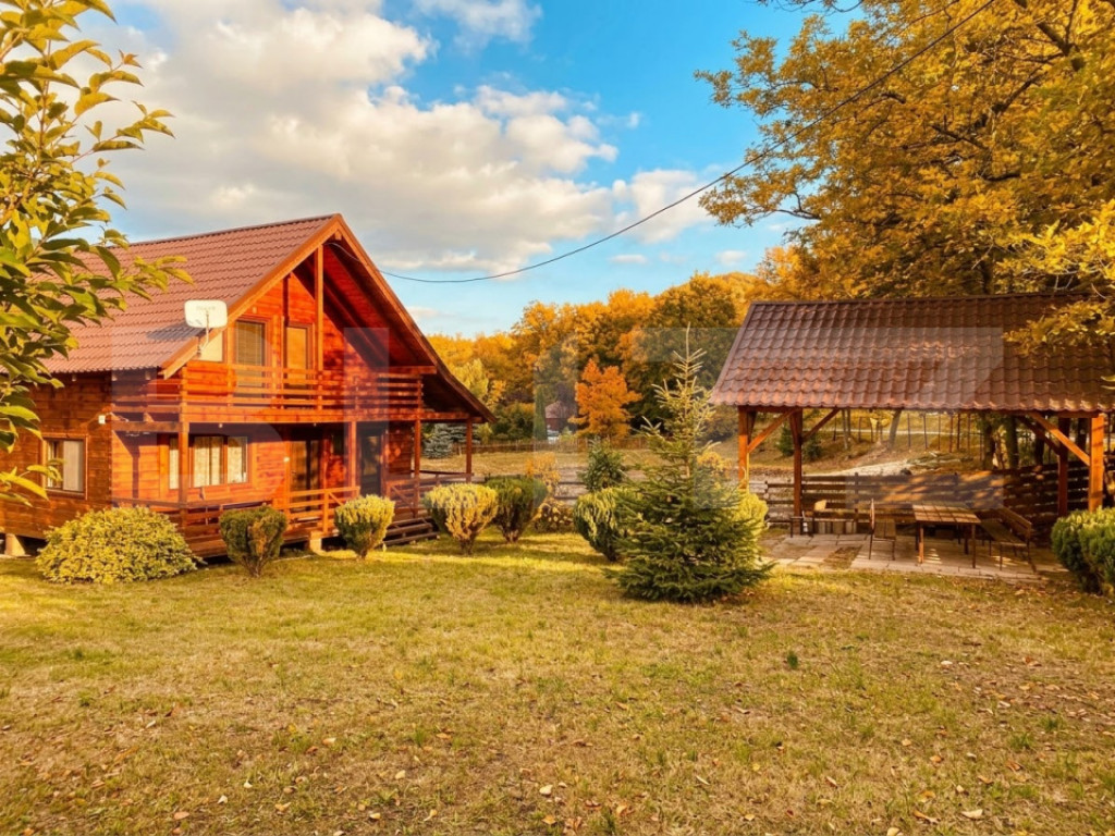 Cabana de vânzare în Rimetea, cu vedere spre Piatra Secuiu