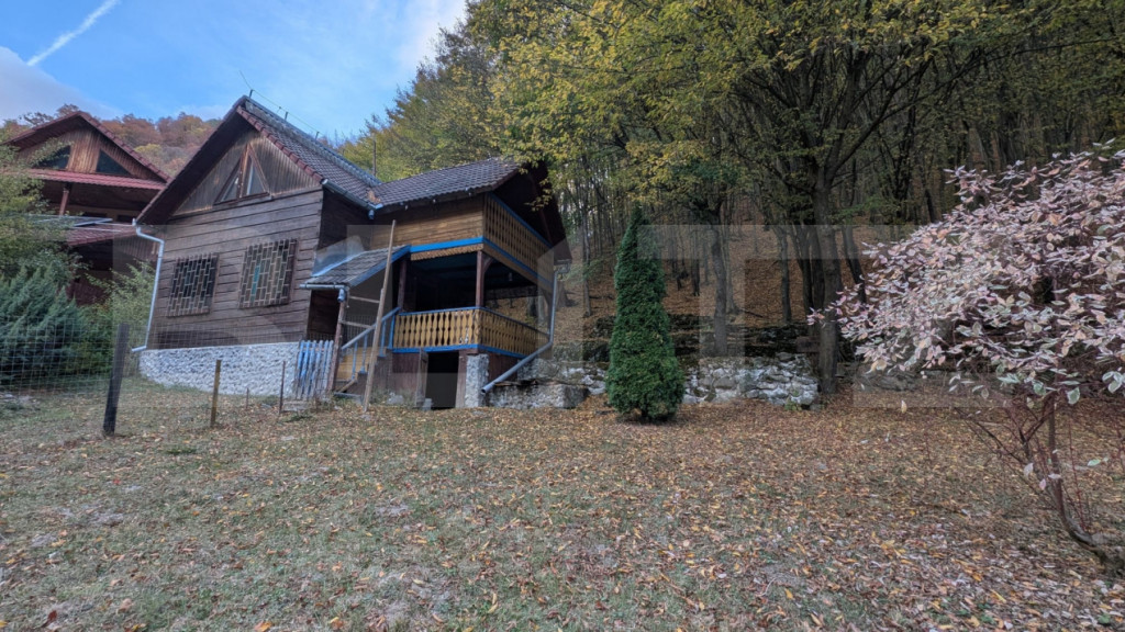 Cabana de vanzare zona Valea Ighielului
