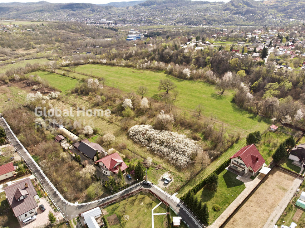Teren intravilan 10.000 mp de vanzare in Campina