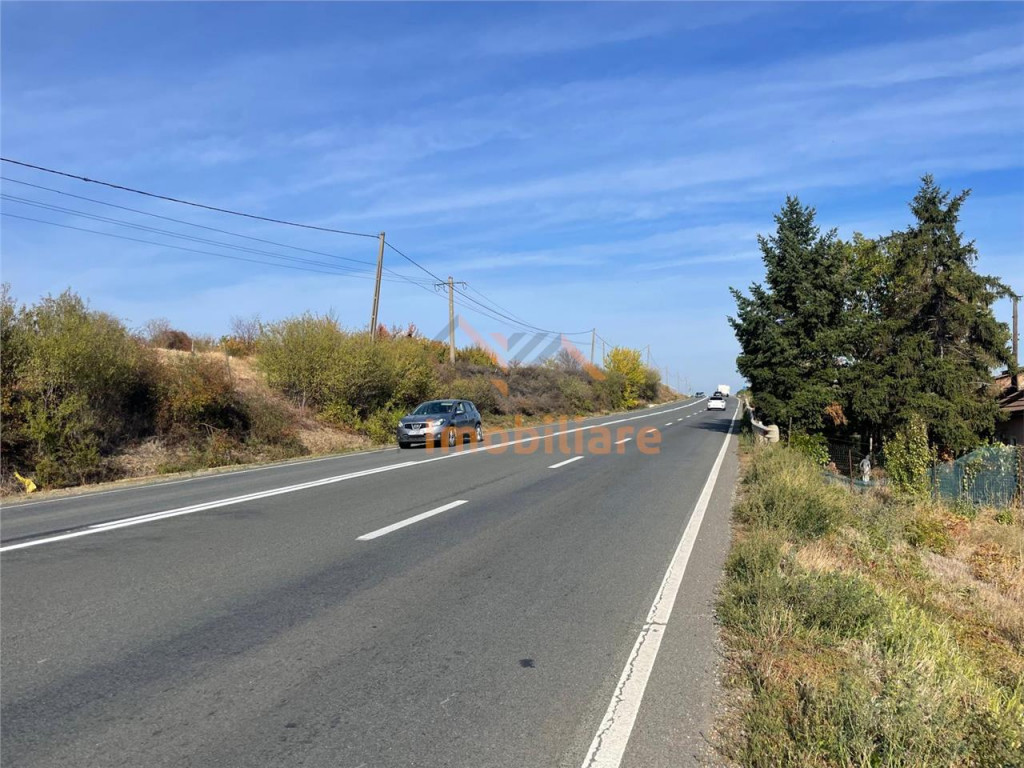 TEREN | 5682MP | LA INTRARE IN LES | ACCES DIN DN79 | BIHOR