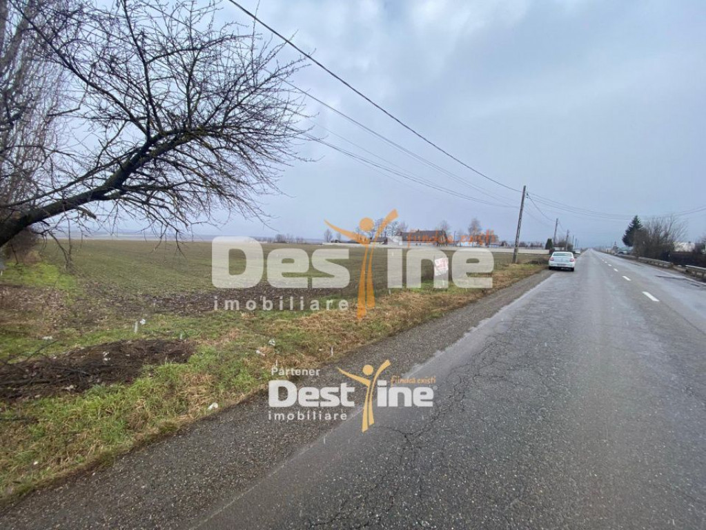 Teren de vanzare Girov- Doina 7200MP 139.999