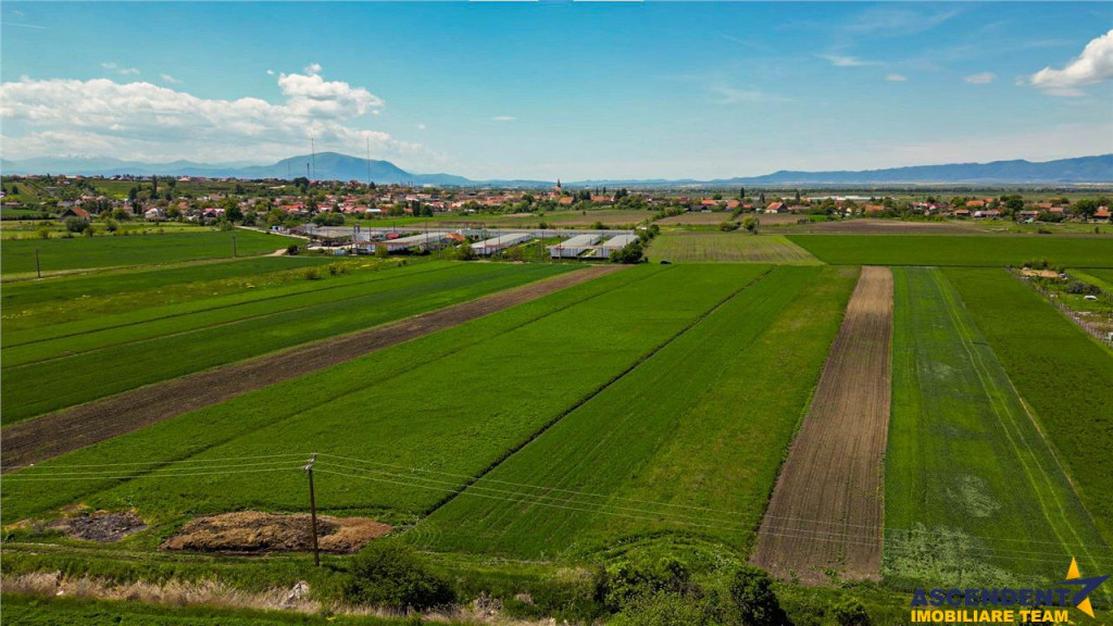 FILM! Teren extravilan 5.000 mp in zona linistita cu acces f