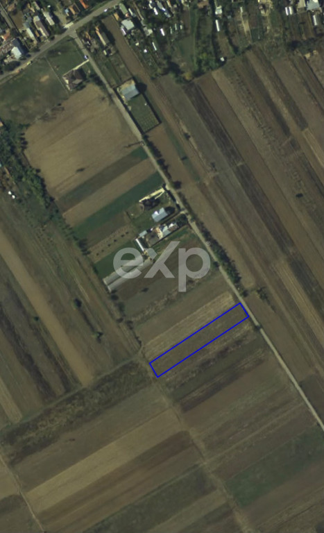 TEREN DE VÂNZARE ÎN CAZACI DB – 2.500 MP