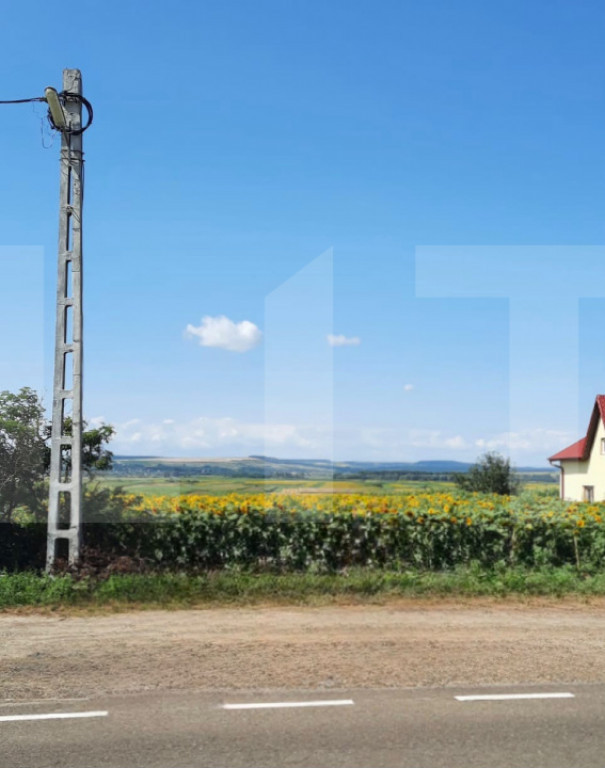 Teren extravilan , 8367mp-Zona Bucecea+alte 2 loturi 1118mp