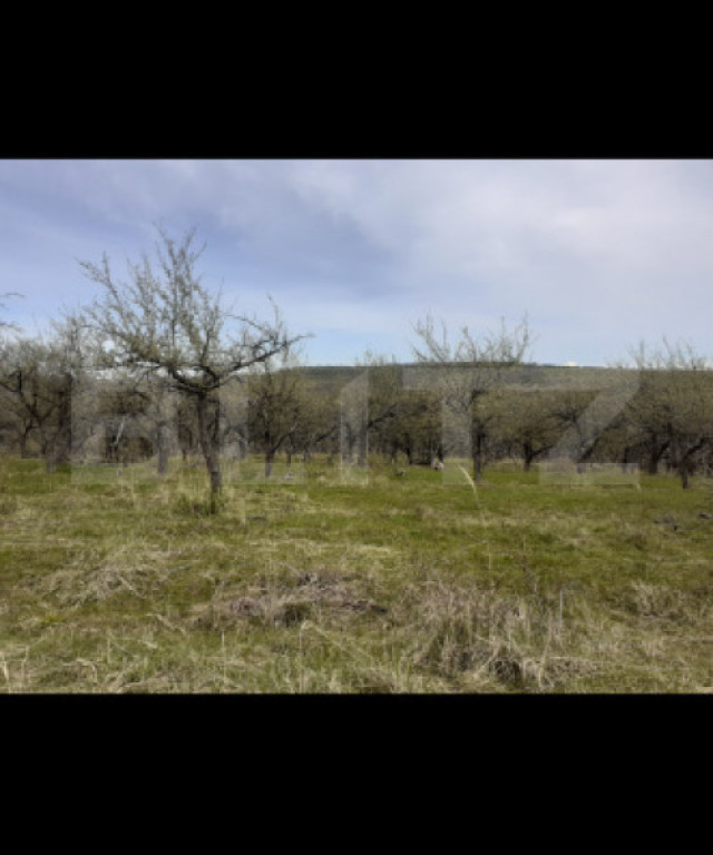 Teren extravilan, 2000 mp, zona Sud-Vest