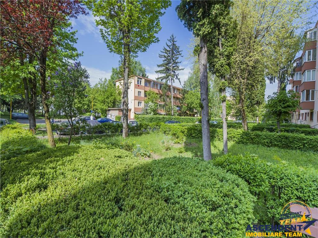 Apartament cochet, 2camere, terasa, spatii verzi, Astra, Bra