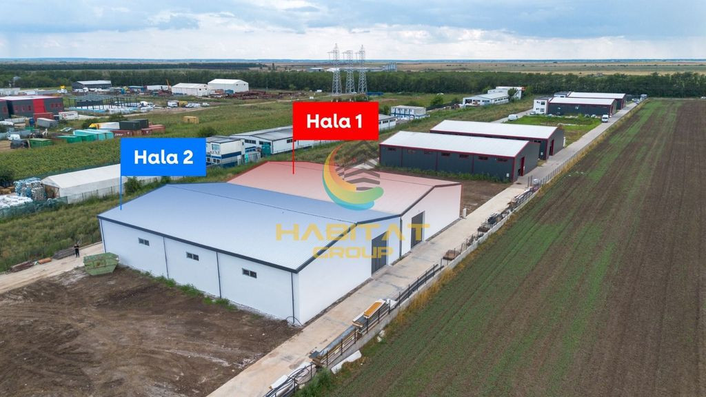 Hale 550 mp în Frumușani | Vânzare sau închiriere | 2 unități