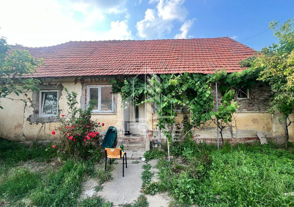 Casa veche in Recas cu teren generos de 1438 mp