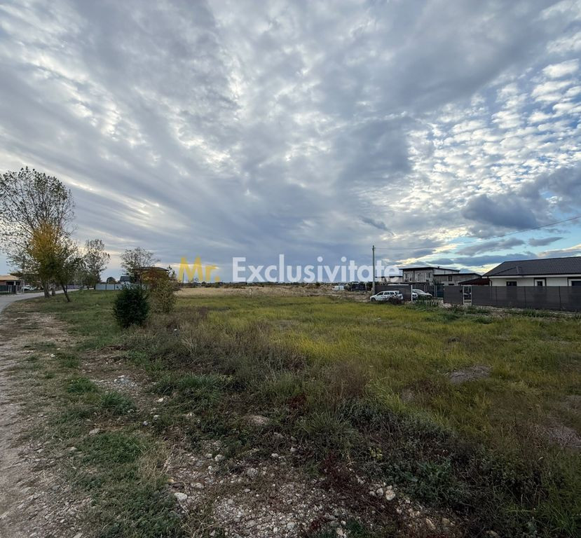 TEREN INTRAVILAN 3 LOTURI | 1.334 MP | BRADU | POTENȚIAL INVESTIȚIONAL