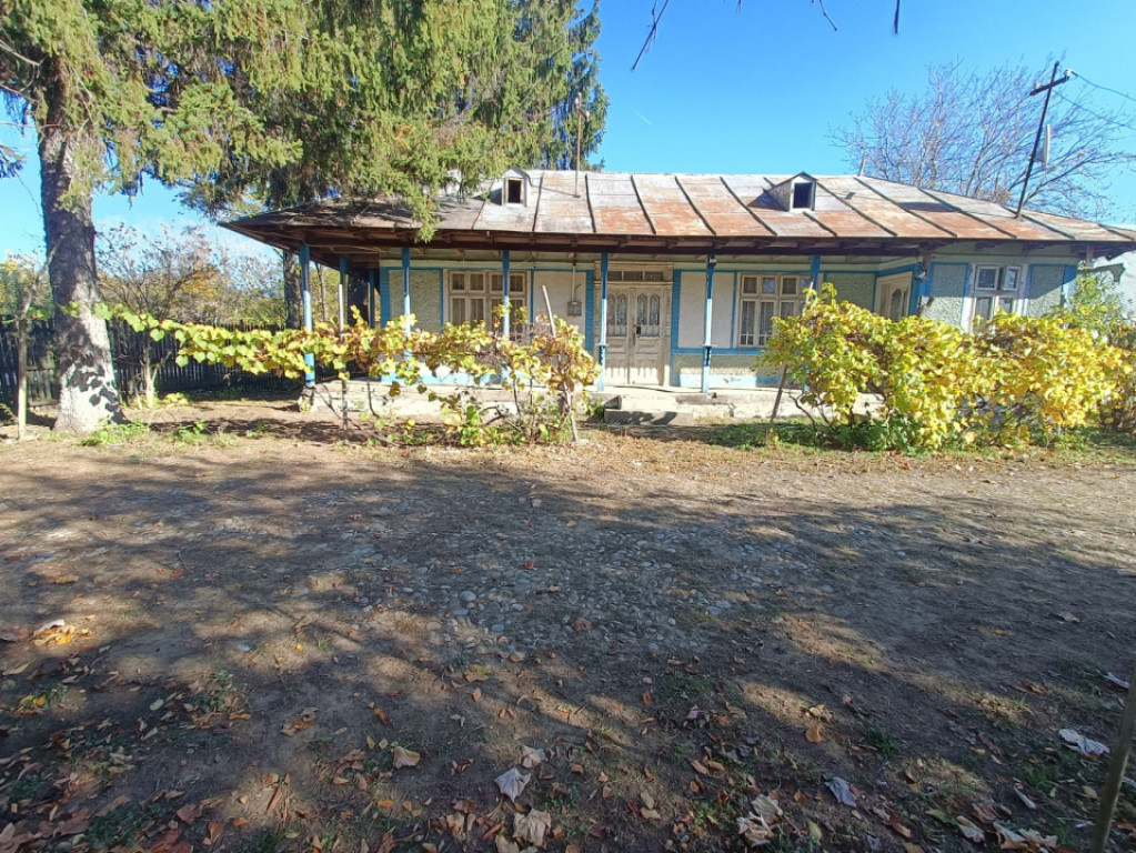 Casa cu teren intravilan si extravilan 9000 mp