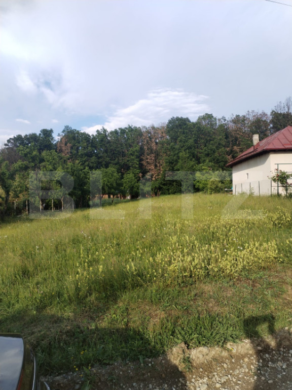 Teren intravilan, 1070 mp, zona Centrală - Băbana