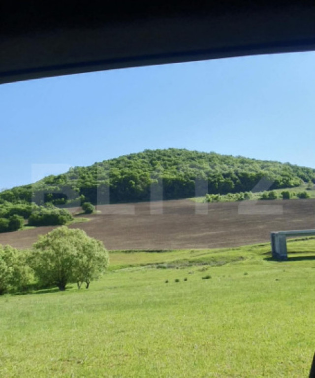 Teren extravilan, 8.133 mp, zona Sângeorgiu de Mureș