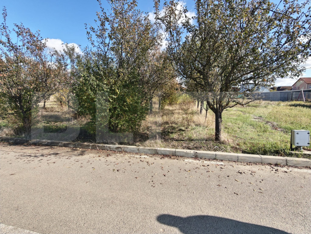Teren intravilan, 1438 mp, zona Paulesti