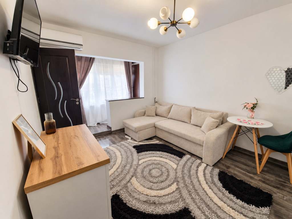Apartament cu o cameră Lipovei