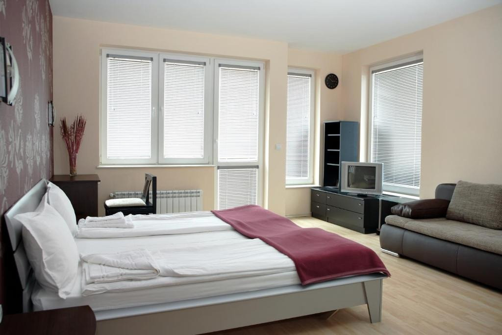 Dimitrie leonida studio demisol