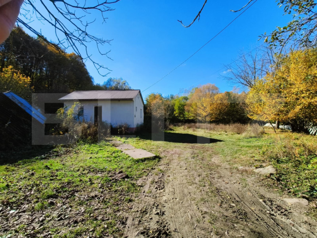 Teren intravilan 3.600 mp | Bascov | Utilitati | Potential i