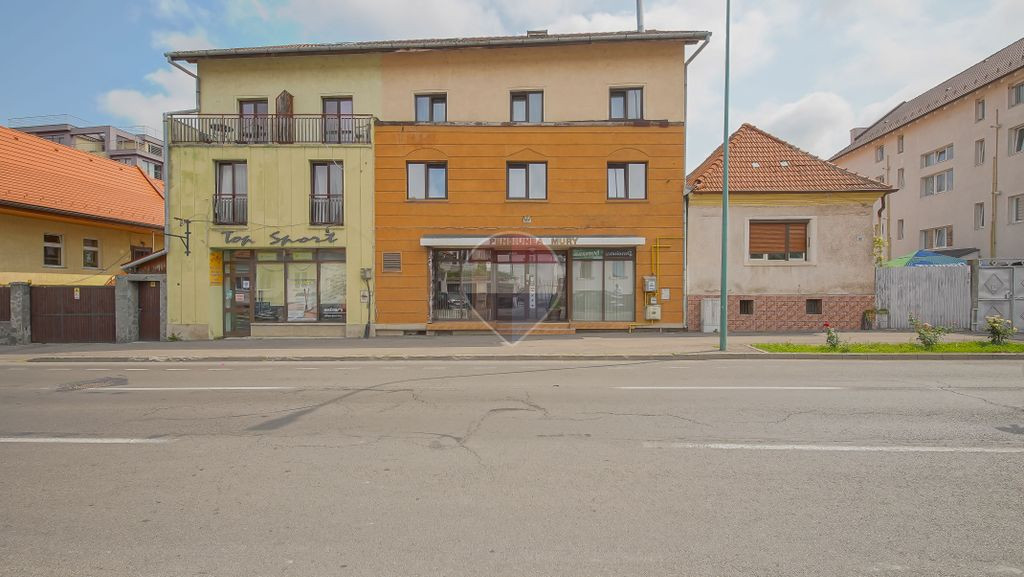 Comision 0 %! Pensiune cu 12 camere de vânzare, str. De Mijloc!