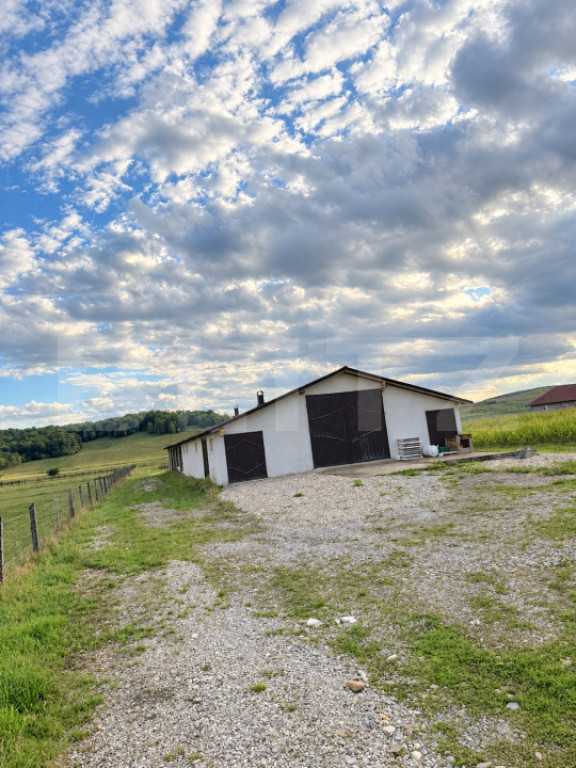 Hală industrială 550 mp de vânzare, la doar 16 km de Bist