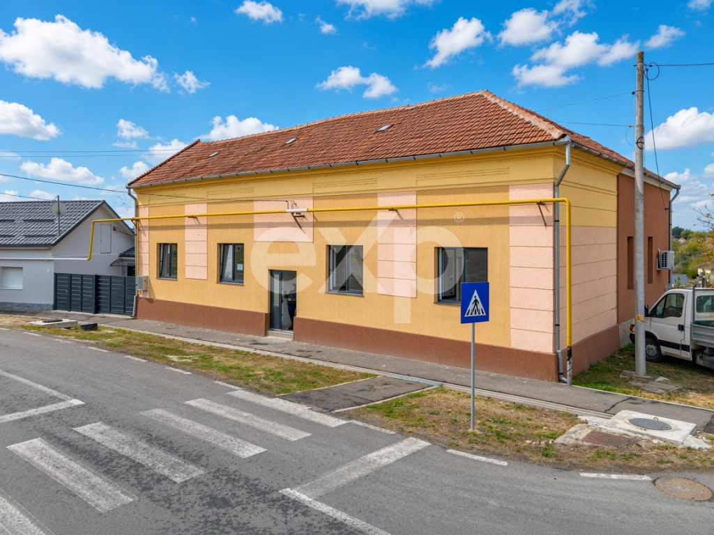 Casă de vânzare în Buziaș | 1.617 mp teren | 85.000 €