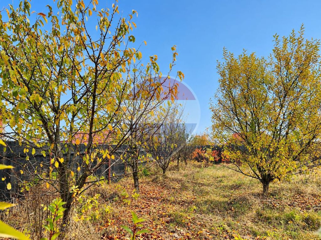 TEREN INTRAVILAN | 500 MP | UTILITĂȚI | HĂRMAN