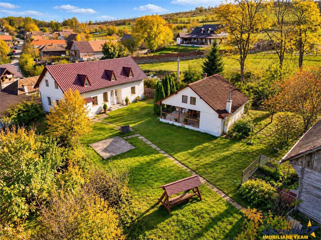 Proprietate deosebita in Padureni: 2 case, domeniu de 3.800m