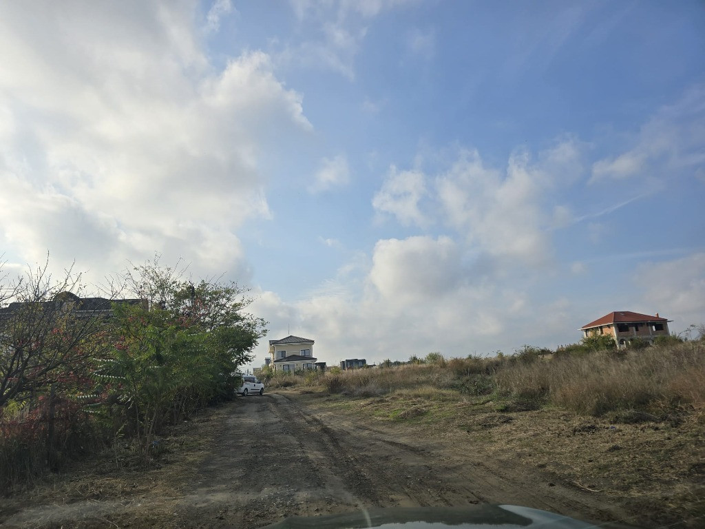 Vanzari terenuri in Palazu Mare