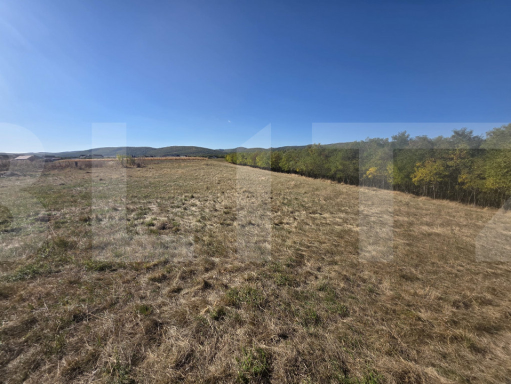 Terenuri intravilane, 7100 mp, zona Arcuș