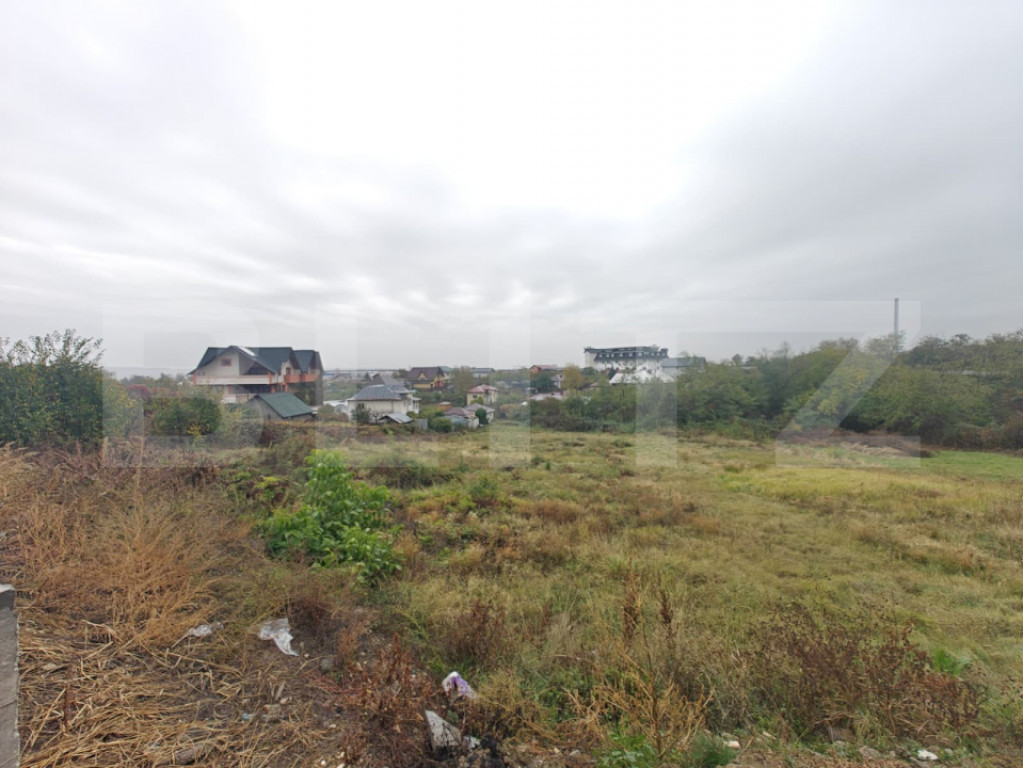 Teren intravilan, 6.000 mp, zona Geamăna