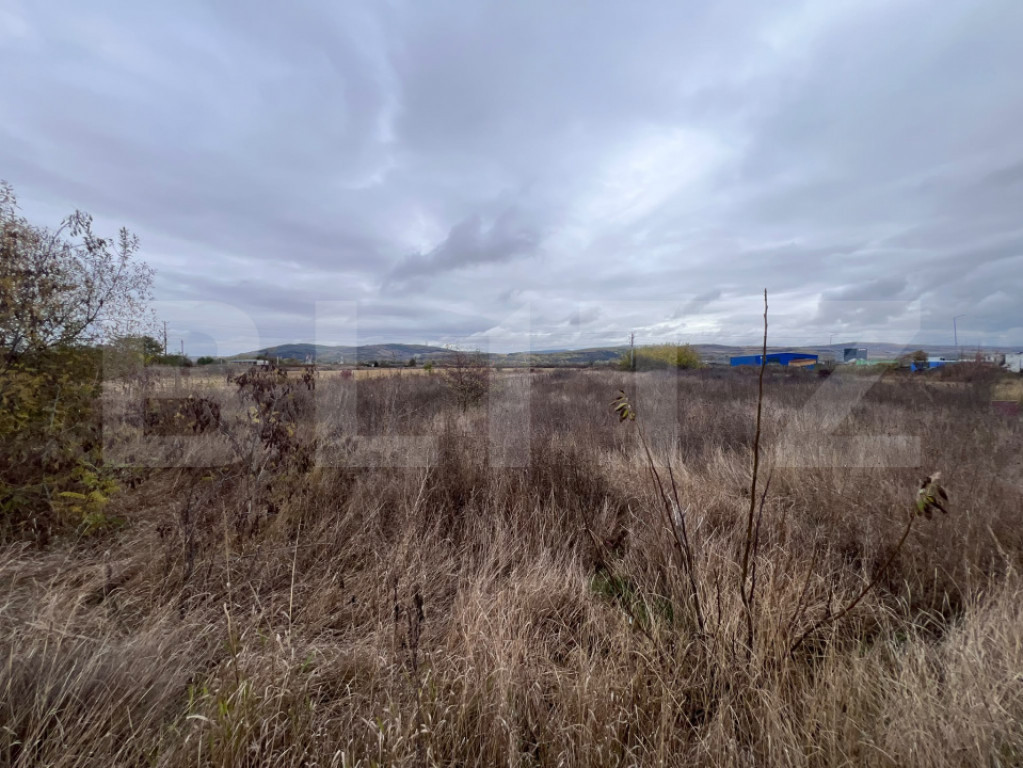 Teren intravilan, 6800 mp, zona Nord-Est