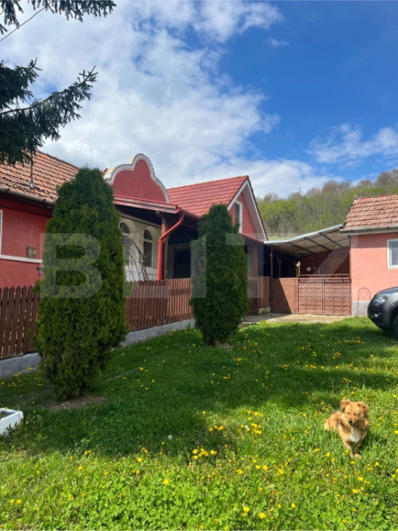 Casă renovată cu 4 camere și teren de 2.000 mp, terasă ?