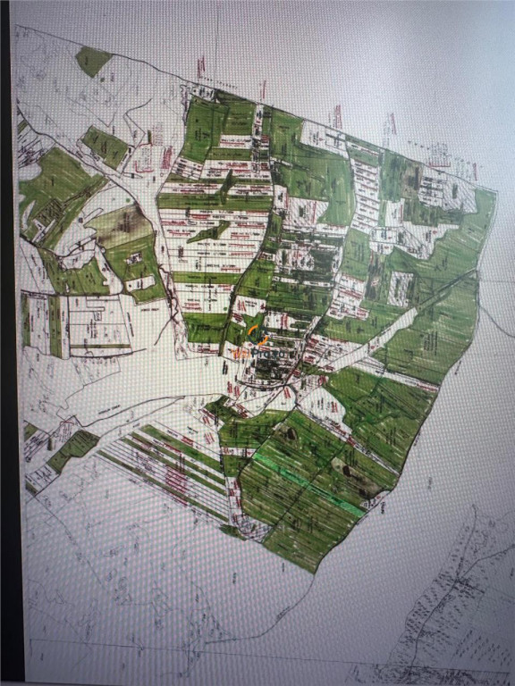 Teren 408 Hectare in Timis