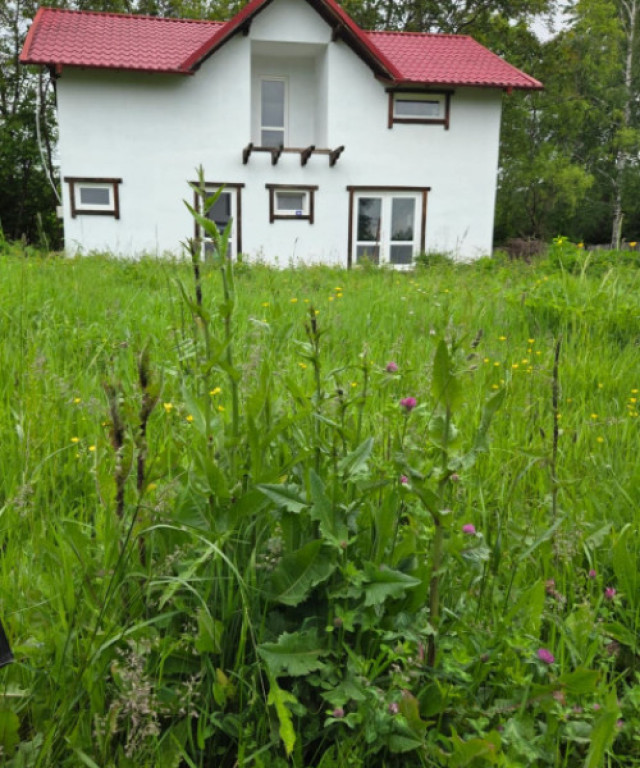 Casa de vanzare, 470mp teren util, in Brebu Manastirei